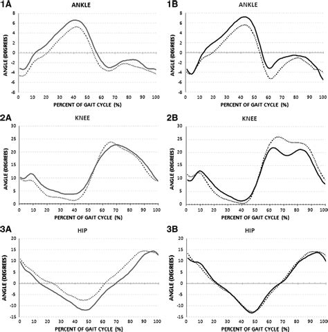 Joint Angle Profiles Degrees Across The Gait Cycle For The Ankle