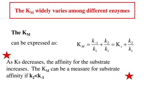 Ppt Enzyme Kinetics I Powerpoint Presentation Free Download Id298555