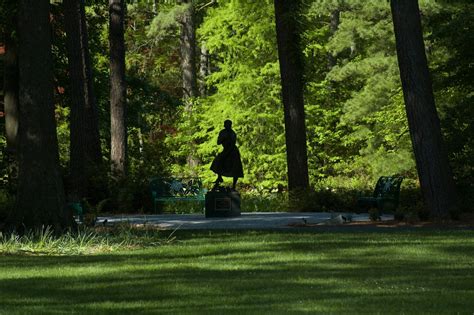 Norfolk Botanical Garden – Virginia's Largest Botanical Garden