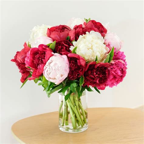 Descubra 48 Kuva Bouquet Pivoine Anniversaire Thptnganamst Edu Vn