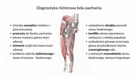 Dlaczego Pachwina Boli Fizjomate