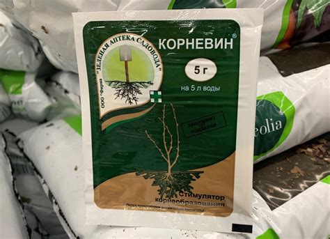 Корневин, инструкция по применению корневина