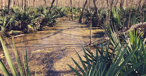 Hike The Ottine Swamp Trail Gonzales Texas