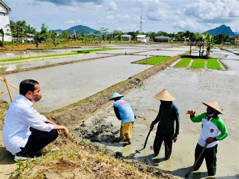 Indonesia Sudah Tak Impor Beras 3 Tahun Ini Faktanya TrenAsia