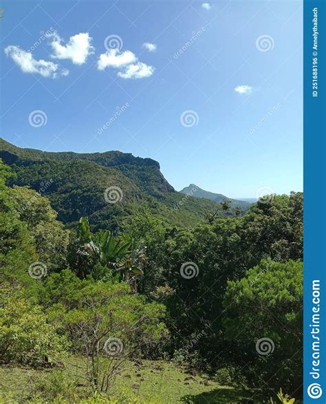 Mauritius Island National Park Of Black River Gorges Stock Photo