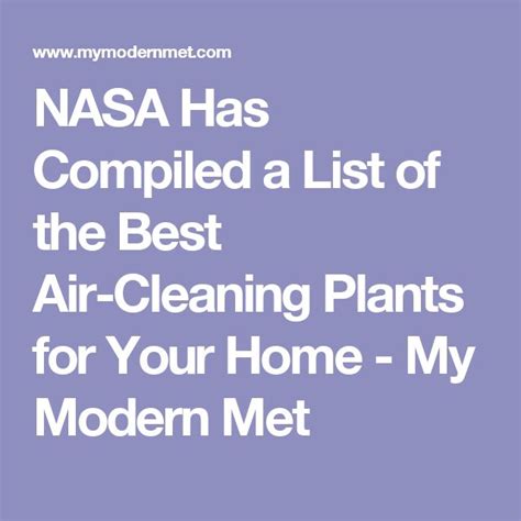 Nasa Has Compiled A List Of The Best Air Cleaning Plants For Your Home