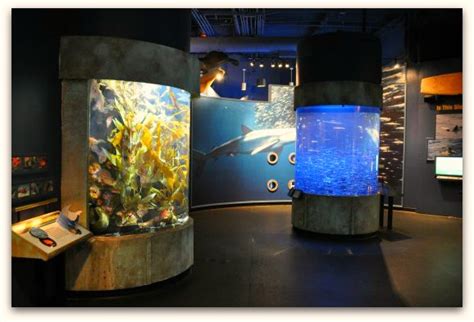 San Francisco Aquarium of the Bay: Explore this Pier 39 Gem