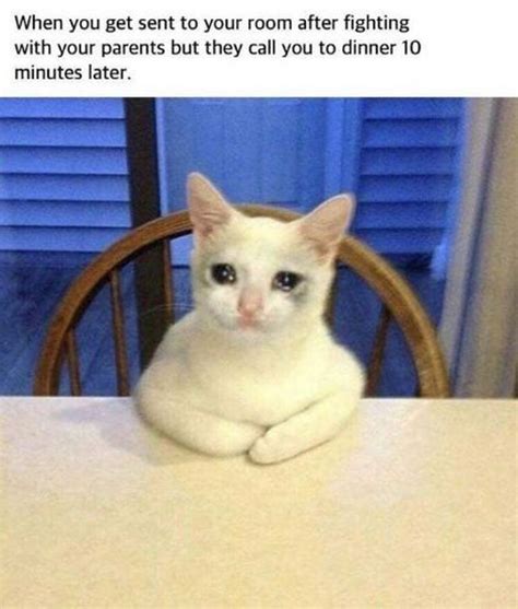 29 Funny Crying Cat Memes Will Make You All Warm and Fuzzy