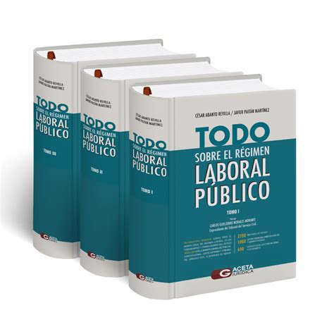 Todo Sobre el Régimen Laboral Público