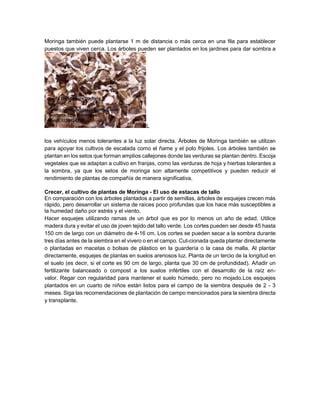 Como Cultivar Moringa Oleifera En Colombia Pdf Descarga Gratuita