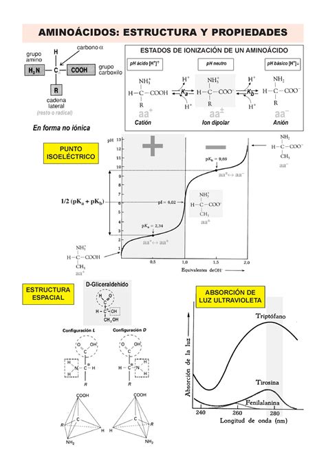 Aminoacidos temas AMINOÁCIDOS ESTRUCTURA Y PROPIEDADES ESTADOS DE
