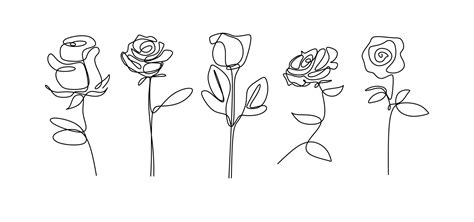 Rose Flower Continuous Line Drawing Single Hand Drawn Set Element