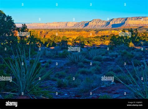 Usa Arizona Grand Canyon National Park Tuweep Area Toroweap