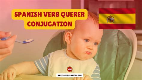 Spanish Verb Querer Conjugation, Meaning, Translation, Examples - Your Info Master