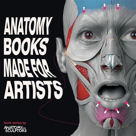 Anatomy Of Facial Expression By Anatomy For Sculptors Anatomy