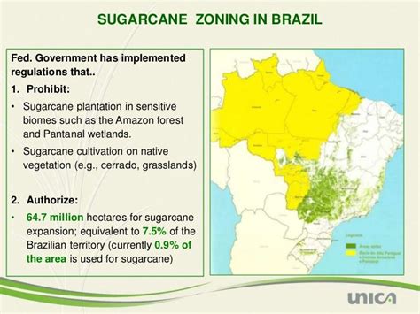 Biofuels What The World Can Learn From Brazil