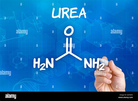 Hand With Pen Drawing The Chemical Formula Of Urea Stock Photo Alamy