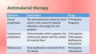 Drugs used in treatment of malaria | PPT