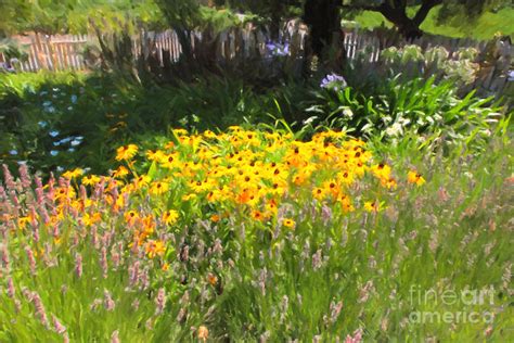 Countryside Cottage Garden 5D24560 Photograph by Wingsdomain Art and Photography | Fine Art America