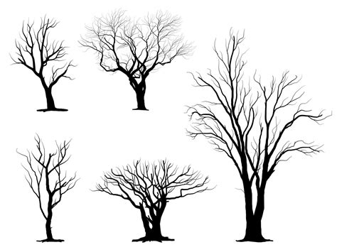 Black Branch Tree Or Naked Trees Silhouettes Hand Drawn Isolated