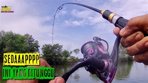 Sensasi Mancing Pakai Joran Kaizen Saitama 2 6 Lb YouTube