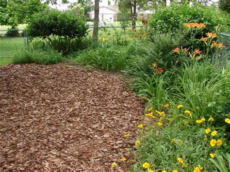 Here's How to Apply Mulch to Your Garden the Right Way! - Better HouseKeeper