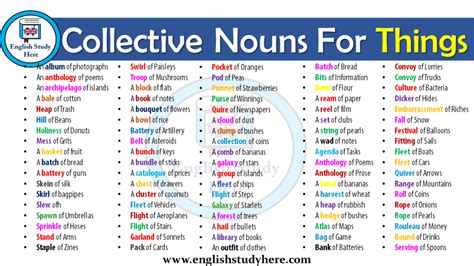 100 Examples Of Collective Nouns English Study Here