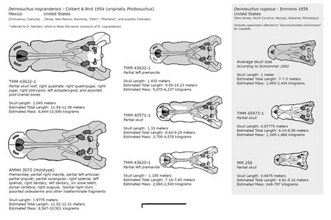 Terrible Crocodile Deinosuchus Skull Diagram By Fadeno Ddweylt Fullview