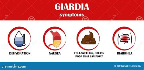 Giardia, Symptoms of Disease, Icon Vector Stock Vector - Illustration of science, diagnostic ...