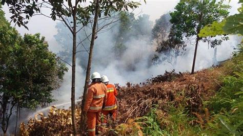 Bulan September Kebakaran Hutan Dan Lahan Paling Tinggi Di Balikpapan