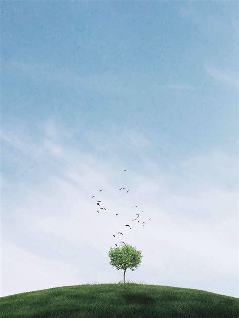 Minimalist Tree Wallpapers - Top Free Minimalist Tree Backgrounds ...