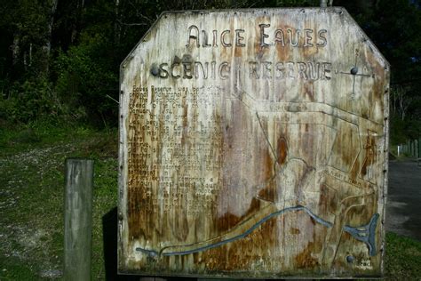 Alice Eaves Scenic Reserve Alice Eaves Scenic Reserve Eav Flickr