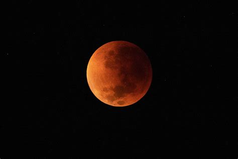 Eclipse Lunar D Nde Ver El Fen Meno Del De Noviembre De