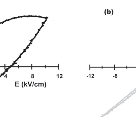 A The Electric Polarization PE Loop Of The BSA Au20 B The PE