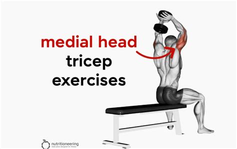 Top Lateral Head Tricep Exercises For Chiseled Arms Nutritioneering