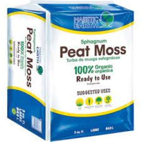 What Is Peat Moss Experts Explain The Secrets Of This Material Livingetc