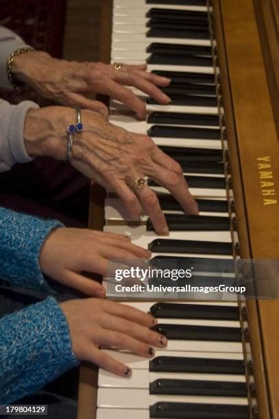 140 Four Hands Piano Stock Photos, High-Res Pictures, and Images ...