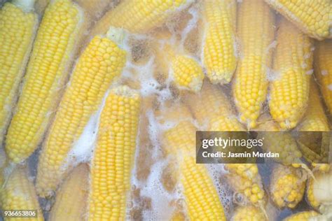 Boiled Turkey Photos And Premium High Res Pictures Getty Images