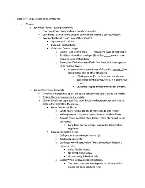 Chapter 4 Anatomy And Physiology Chapter 4 Body Tissues And Membranes