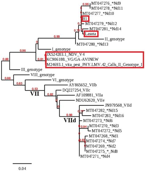 The Phylogenetic Tree Based On The Partial F Gene Nucleotide Sequence