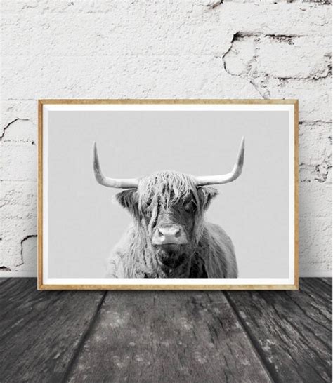 Highland Cow Print Large Wall Art Photography Print Best Etsy