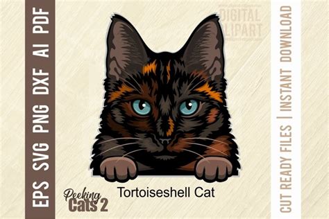 Tortoiseshell Cat Color Svg Cat Svg Cat Clip Art Svg