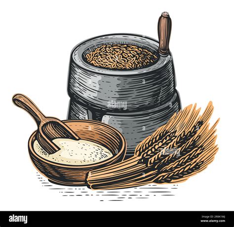 Wheat Ears Flour Millstones Vector Illustration Processing Cereal