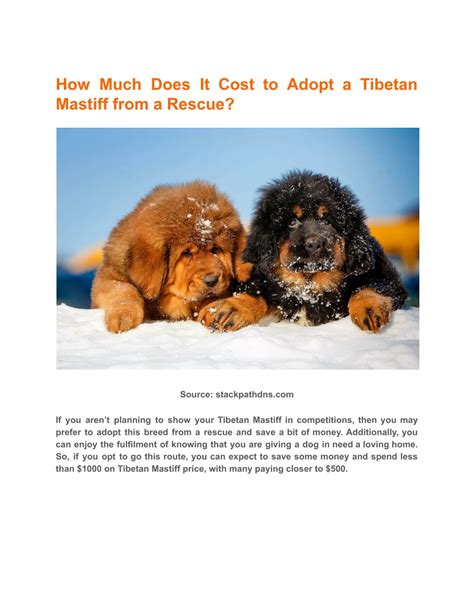 PPT Tibetan Mastiff Price And Lifetime Expenses PowerPoint