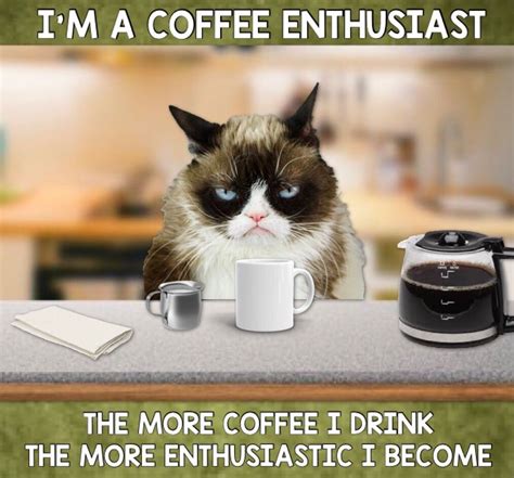 Grumpy Cat Coffee ☕️ Grumpy Cat Grump Cat Grumpy Cat Meme