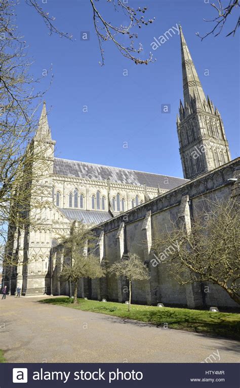 Magna Carta Salisbury Hi Res Stock Photography And Images Alamy