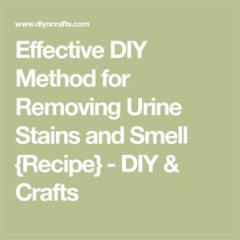 Effective Diy Method For Removing Urine Stains And Smell {recipe} Urine Stains Urinal