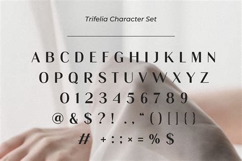 FREE FONT Trifelia Elegant Sans Serif On Behance