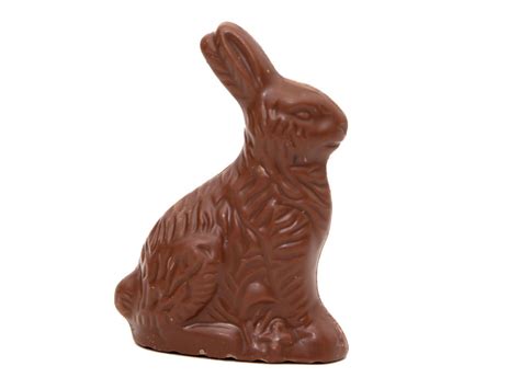 Chocolate Easter Bunnies