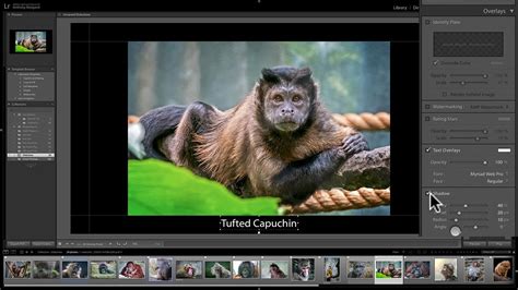 Mastering Lightroom Classic Cc 30 Slideshow Module Youtube